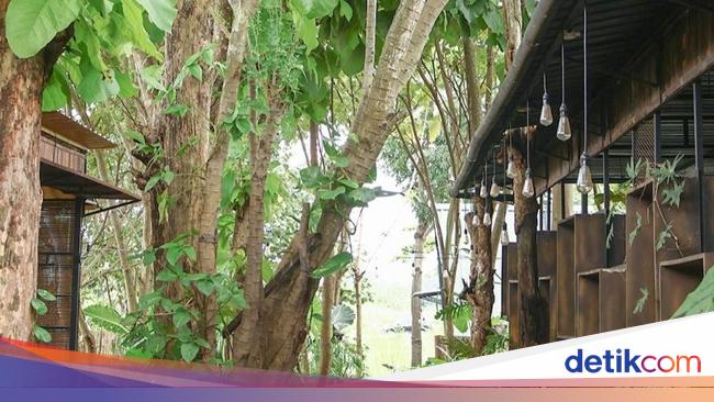 Berburu Hidden Gem Kuliner di Delanggu, Tempatnya Asri dan Nyeni