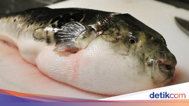 10 Hidangan Tersulit Dimasak di Dunia, Butuh Keahlian Tinggi!