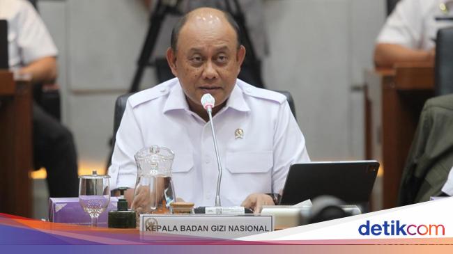 Badan Gizi Nasional Punya 3 Wakil Kepala, Begini Pembagian Tugasnya