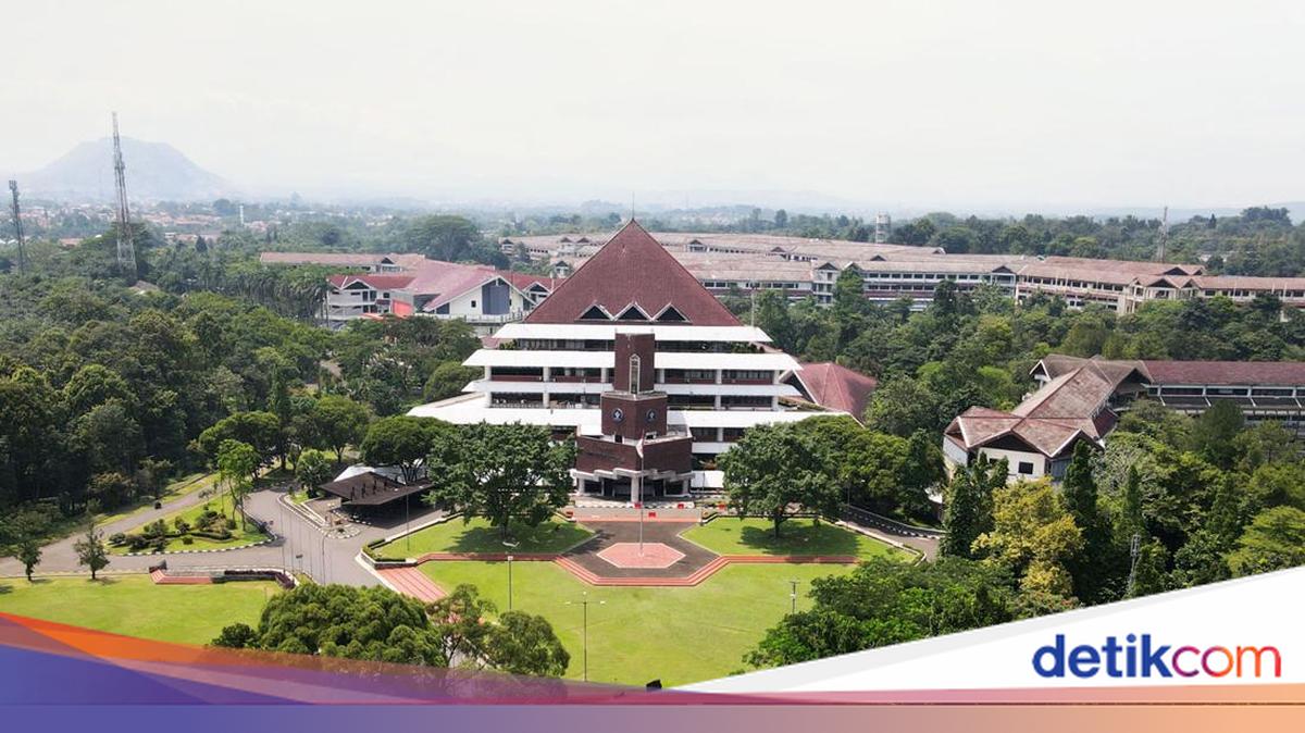 Viral Dugaan Pelecehan Seks di Grup Chat Mahasiswa Teknik Mesin, IPB Investigasi