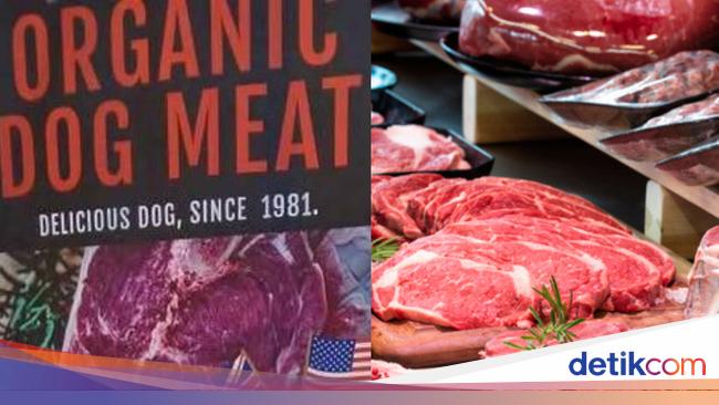 Kios Ini Dikecam Karena Jual Daging Anjing, Ternyata karena Alasan Ini