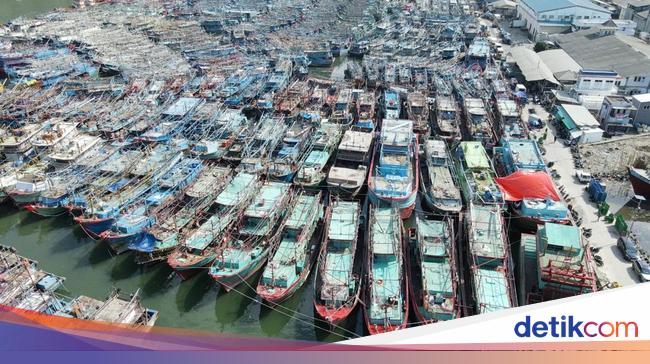 Adopsi VMS Akan Bikin Perikanan Tangkap Indonesia Naik Kelas