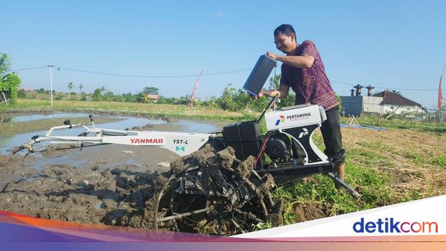 Pertamina Kembangkan Energi Transisi, Bantu Sejahterakan 408 Petani Bali