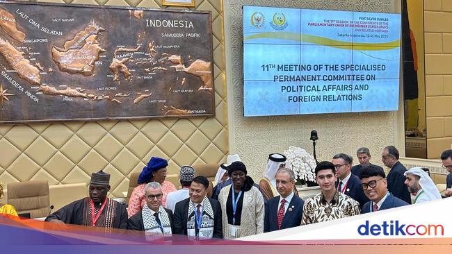 Di Forum PUIC, Anggota DPR Bicara Dukungan RI untuk Kemerdekaan Palestina