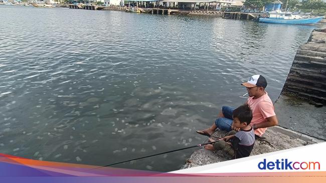 Wuiih... Ubur-ubur Muncul di Pelabuhan Mayangan Probolinggo