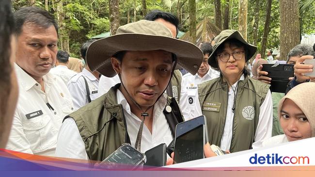 Kata Menhut soal Peluang Brasil Bawa Kematian Juliana Marins ke Jalur Hukum