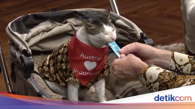 'Bukti' Bobby Kertanegara Memang Presidennya Kucing, Ketemu Pejabat Penting