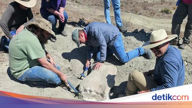 Fosil Salah Satu Dinosaurus Terbesar di Dunia Ditemukan