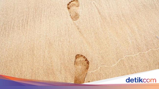 Jejak Kaki 115 Ribu Tahun Ditemukan di Arab Saudi, Milik Siapa?