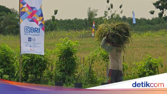Pakar soal Menteri Imipas Buat Ketahanan Pangan-Dapur MBG di Lapas: Program Bagus!