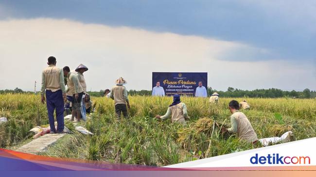 Sosiolog Setuju Kemenimipas Libatkan Napi di Ketahanan Pangan-MBG, Ini Analisisnya