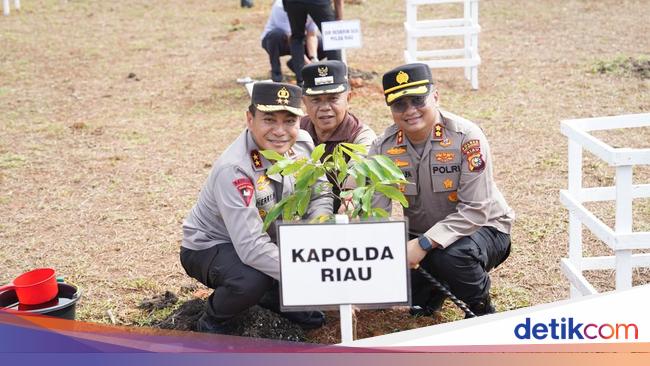 Komitmen Jaga Lingkungan, Kapolda Riau Tanam Pohon di Kepulauan Meranti