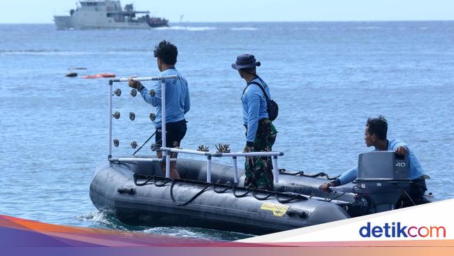 Jaga Laut, Kopaska TNI AL Rahabilitasi Terumbu Karang di Bayuwangi