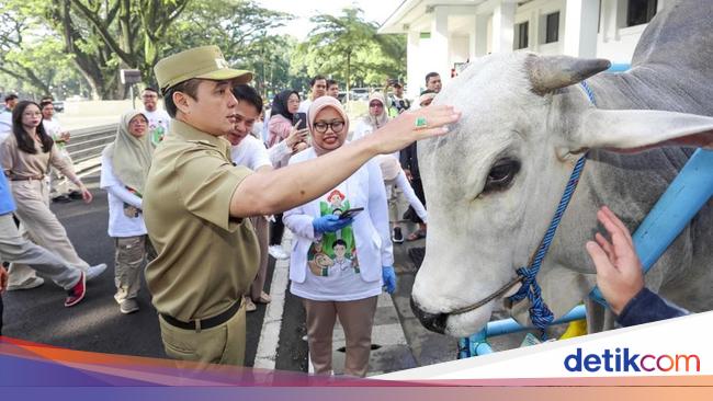 Jaminan Kurban Sehat di Bandung: 334 Satgas Siap Amankan Iduladha 2024