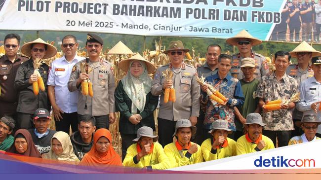 Kakorbinmas Polri Pimpin Panen Raya Jagung di Cianjur: Hasil 11,6 Ton Per Ha