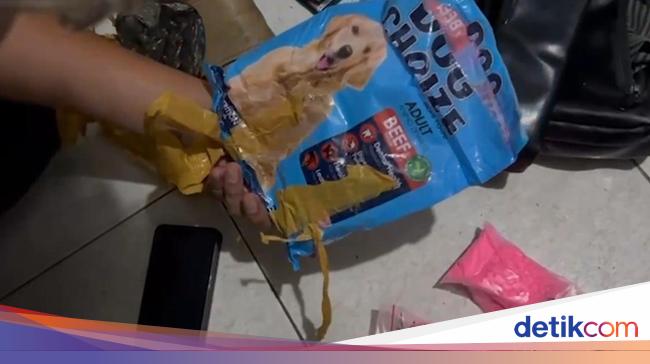 Polda Metro Bongkar 1.162 Ekstasi Dikamuflase Makanan Anjing di Teluk Gong