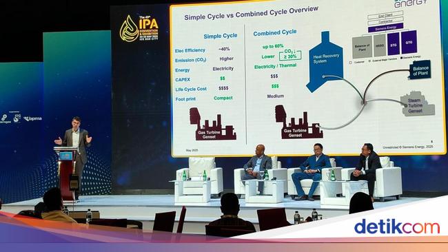 Perusahaan Asal Jerman Bahas Jurus Pengurangan Emisi Karbon di RI