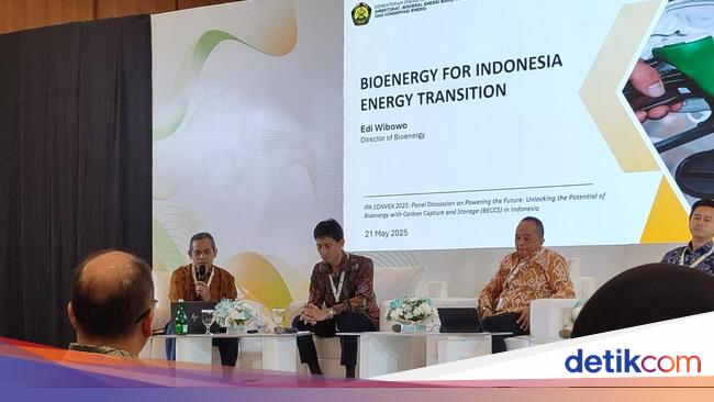 Pemerintah Ajak Investor Garap Energi Baru Terbarukan di RI