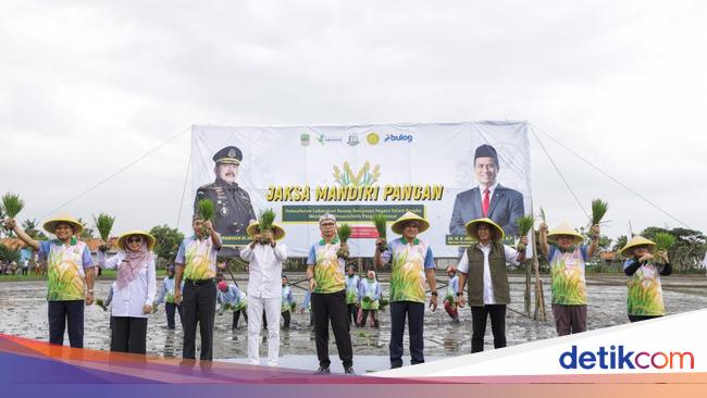 Dukung Swasembada Pangan, Pupuk Indonesia Kelola Lahan Rampasan Kejagung