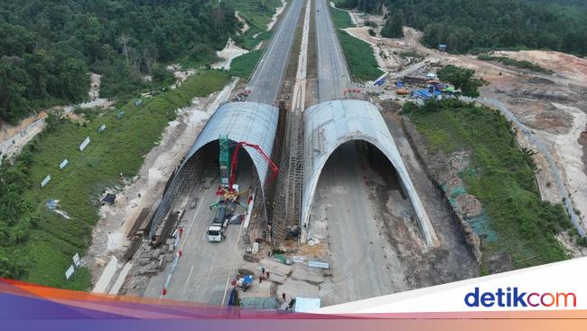 Lindungi Fauna Kalimantan, Waskita Bangun Jembatan Satwa di Tol IKN