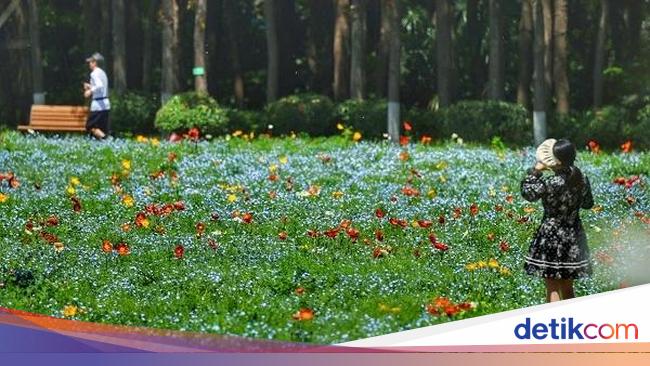 Taman-taman Kota di Negara Lain yang Buka 24 Jam