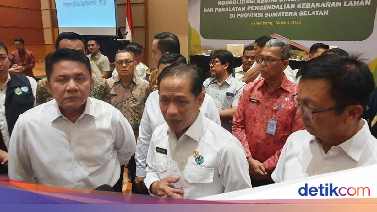 Menteri LH Ungkap Data Pengurangan Hutan di Aceh, Sumbar, dan Sumut