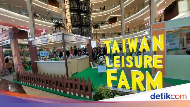 5 Jam dari Jakarta, Ada Agrowisata Keren di Taiwan