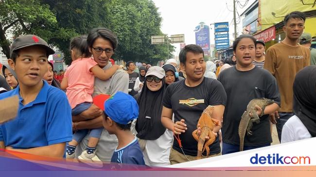 Warga Bawa Hewan Peliharaan ke CFD Depok: Olahraga Sambil Jemur Iguana