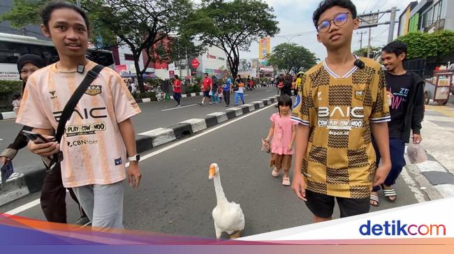 Kala Soang hingga Iguana Juga Nikmati CFD Depok