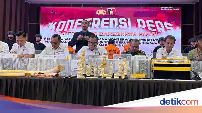4 Fakta Pipa Rokok hingga Ukiran Gading Gajah Rp 2,3 M Dibongkar