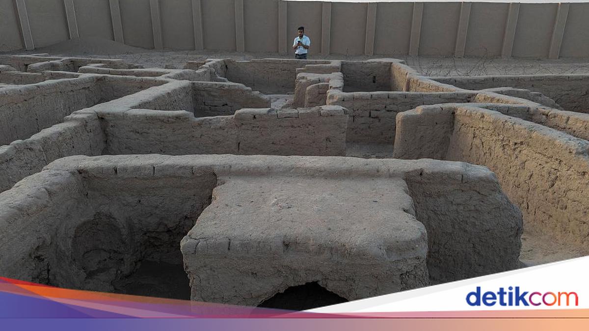 Qizlarning mushukchalari miltillovchi fotosuratlar Yigitning eshagini qanday ochish kerak