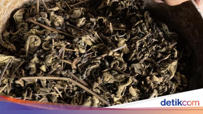 Teh Kejek Asli Garut, Prosesnya Diinjak-injak dan Rasanya Mirip Sup Miso!