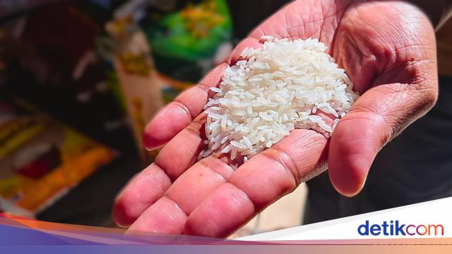 Simak! Cara Membedakan Beras Oplosan dengan Premium Murni