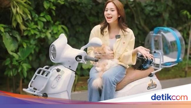 Manis nan Imut, Fazzio Modif Gaya Zee Eks JKT48