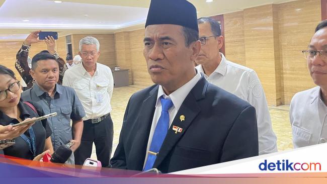 Pemerintah Bakal Gelontorkan Beras Murah di Papua-Nias
