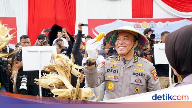Irwasum Pamer Kerja Gugus Tugas Ketahanan Pangan Polri, Produksi Jagung Naik
