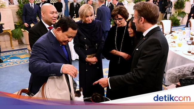 Saat Macron-Brigitte Bertemu Kucing Prabowo 'Bobby Kertanegara' di Istana