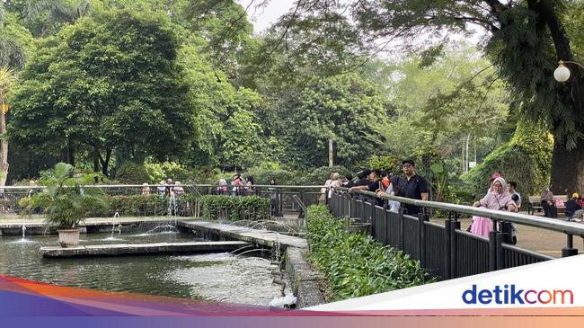 Cerita Warga Pilih Ragunan di Libur Panjang: Bosan Suasana Cafe