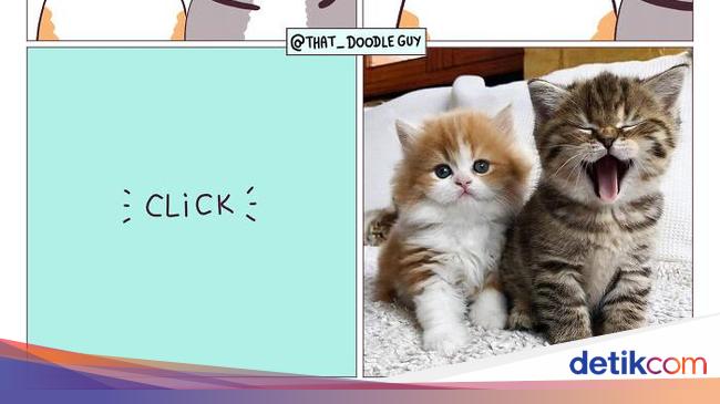 Komik Lucu dan Menggemaskan yang Bikin Harimu Lebih Ceria