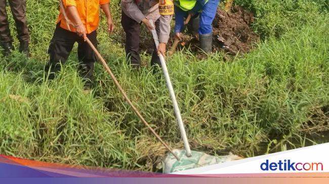 Buntelan Karung Bikin Geger di Tangsel, Dikira Mayat Ternyata Bangkai Kambing