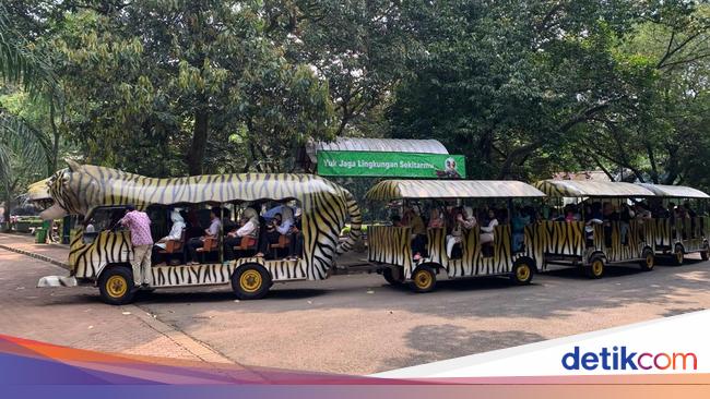 Warga Senang Peserta KJP Plus Gratis Masuk Ragunan: Jadi Bisa Ngirit