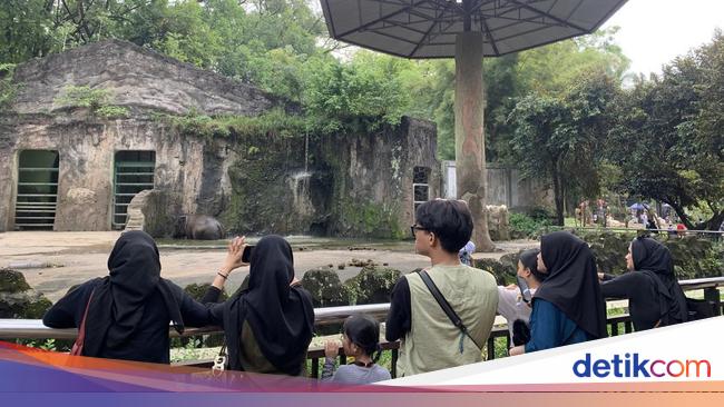 Healing Murah Meriah ala Warga Jakarta di Ragunan