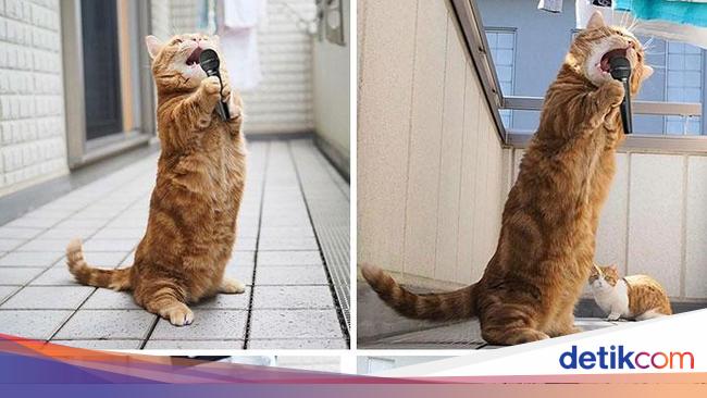 10 Editan Foto yang Keren Sekaligus Lucu Banget