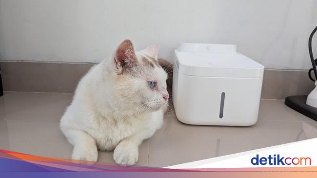 Review Xiaomi Smart Pet Fountain 2: Anabul Sehat, Majikan Tak Repot