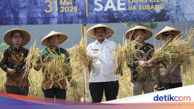 Dirjenpas Libatkan Warga Binaan Lapas Subang Kontribusi Program Ketahanan Pangan