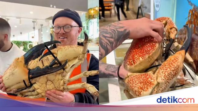 Food Blogger Disorot Usai Makan Kepiting Langka Rp 20 Juta