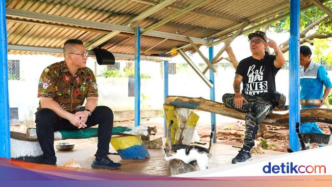 Kucing Jalanan, Overpopulasi, Sterilisasi &amp; Rencana Besar di Kepulauan Seribu