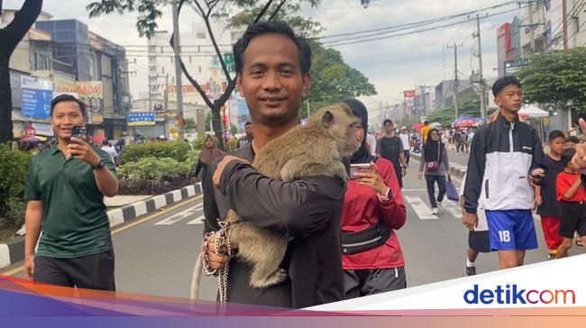 Warga Jogging di CFD Depok Sambil Bawa Monyet: Mau Ajak Jalan-Jalan