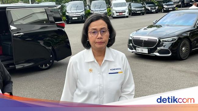 Sri Mulyani Bocorkan Taktik RI Bujuk Trump Turunkan Tarif Impor