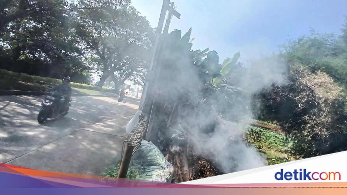 DLH DKI Imbau Masyarakat Tak Bakar Sampah, Ingatkan Bahaya Partikel PM 2,5
